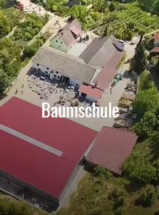 Baumschule