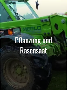 Pflanzung