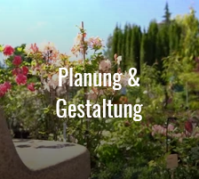 Planung und Gestaltung