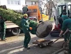 baustelle-18.jpg